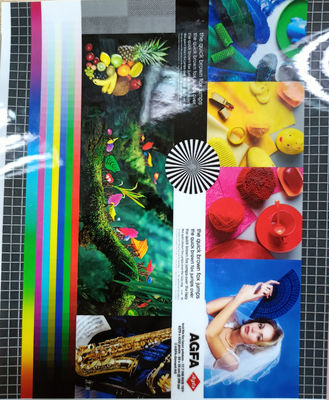 Dobra cena. Długość 200-4000m PET EVA Film opakowaniowy 22 miu Matte/Gloss Jasność dla wyższej wydajności opakowania w Internecie